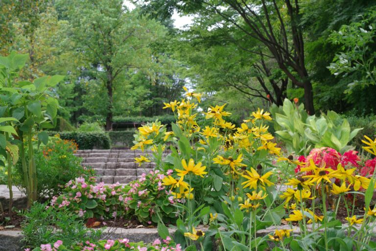 yellow flowers near stone steps in a garden